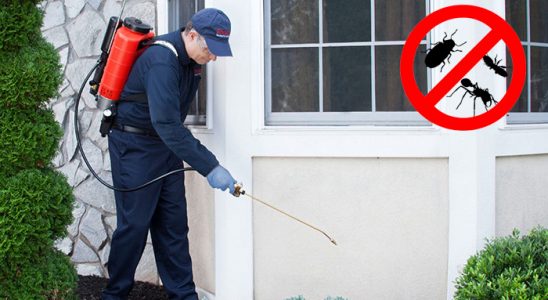 Atakent Dezenfeksiyon böcek ilaçlama ve haşere kontrolü — ilaclama-tr.com